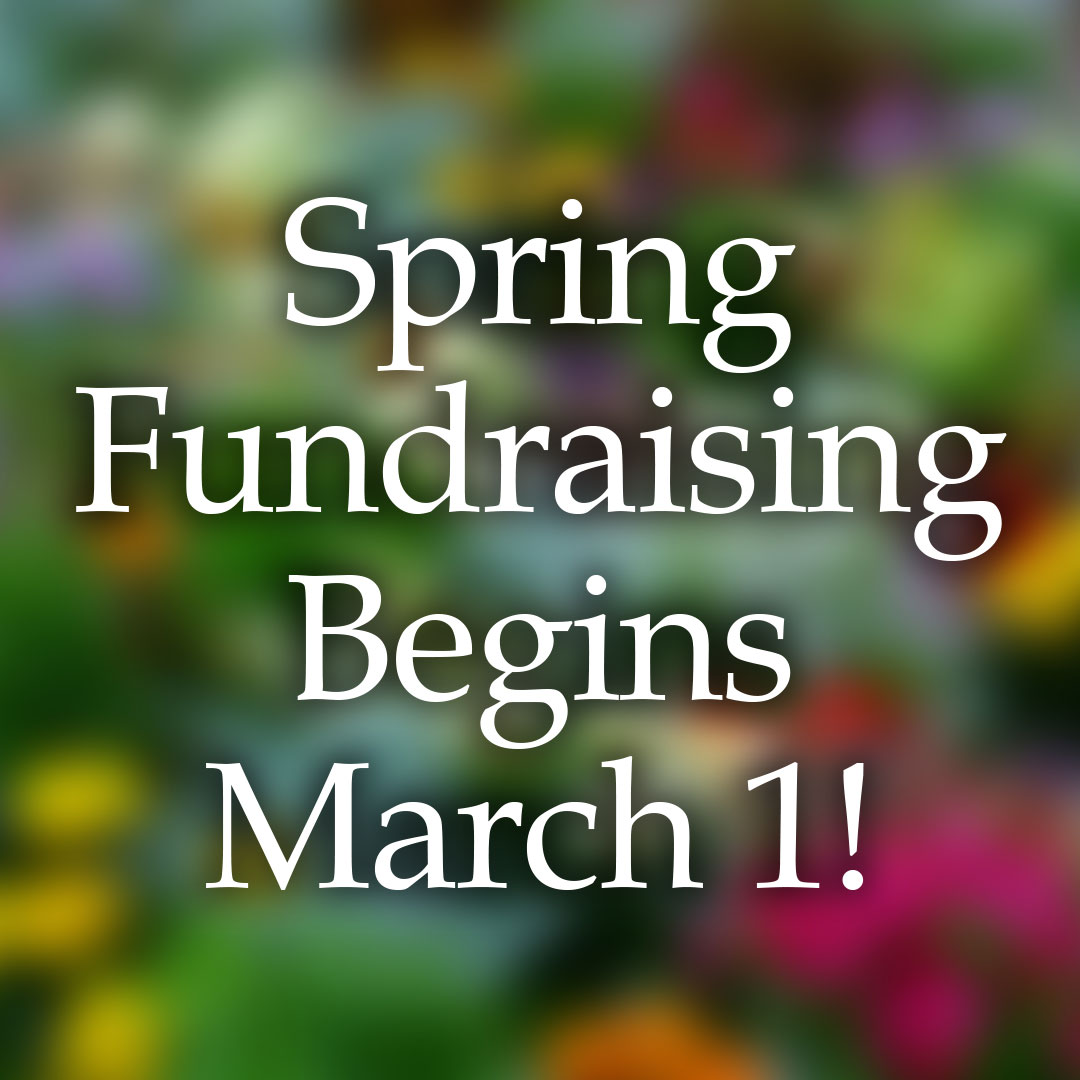 Spring Fundraising Begins March 1!