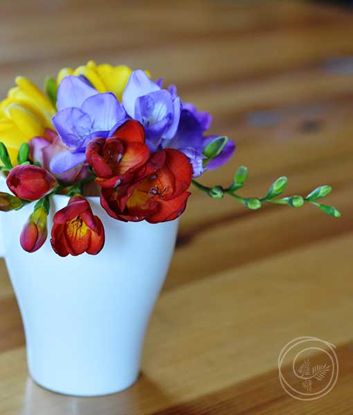 Cut arrangement of summer Freesia flowers in a mug