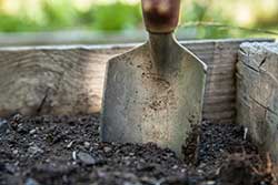 Preparing to plant a summer container garden