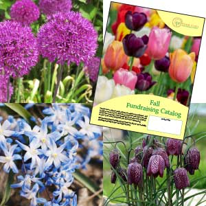 fall bulb fundraising catalog image