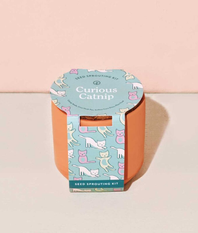 Image of Tiny Terracotta Catnip Kit in packaging