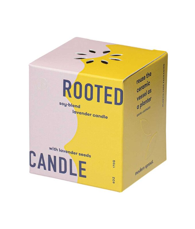 Image of Rooted Candle indoor growing kit package
