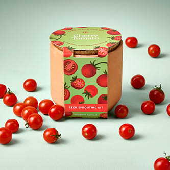 image of cherry tomato edible garden treat kit