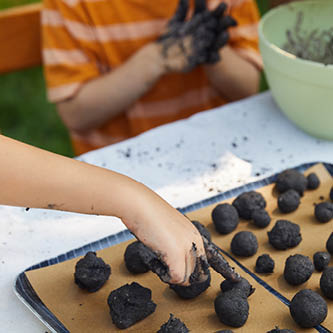 image of kids making seed balls from seed ball kits