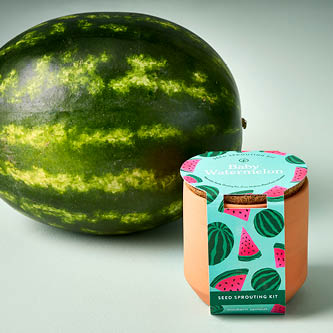 image of baby watermelon edible garden treat grown from seed