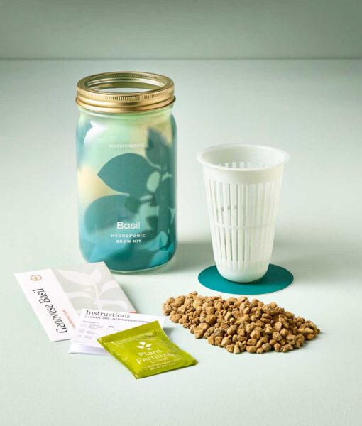 Basil Garden Jar Indoor Herb Kit (Direct Ship Only) - Image 2