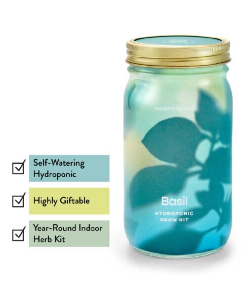 Basil Garden Jar Indoor Herb Kit (Direct Ship Only) - Image 4