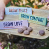 Bright Side Seed Balls (Direct Ship)