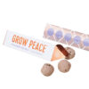 Bright Side Seed Balls (Direct Ship) - Image 4