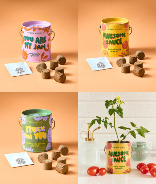 Complimentary Colors Grow Kits (Direct Ship)