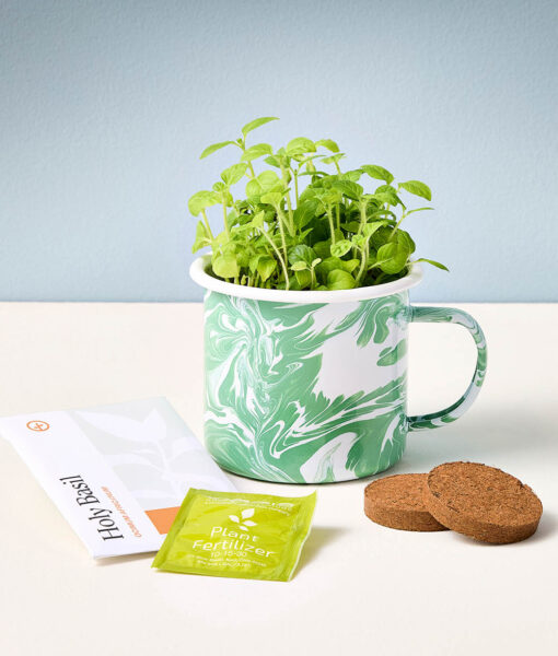 Herbal Mug Grow Kits (Direct Ship) - Image 2