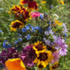 Meadow Mix Seed Shakers (Direct Ship) - Image 3