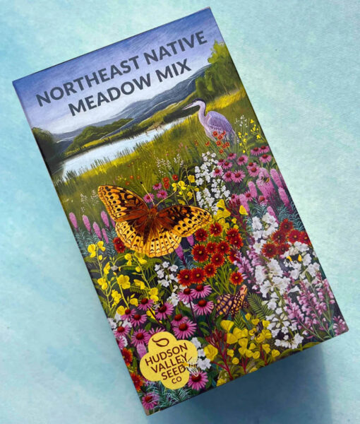 Northeast Native Meadow Mix Seed Shaker (Direct Ship)