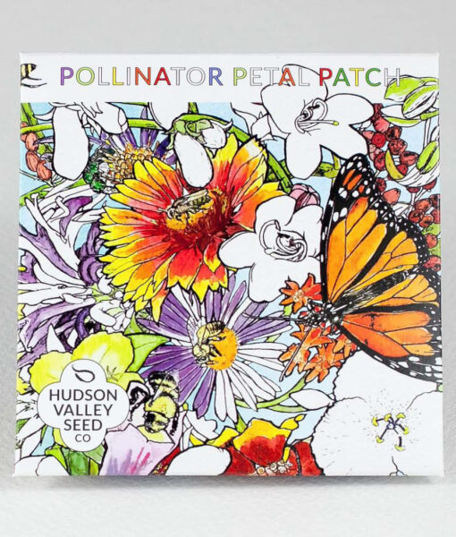 Pollinator Garden Seed Collection Gift Box (Direct Ship) - Image 9