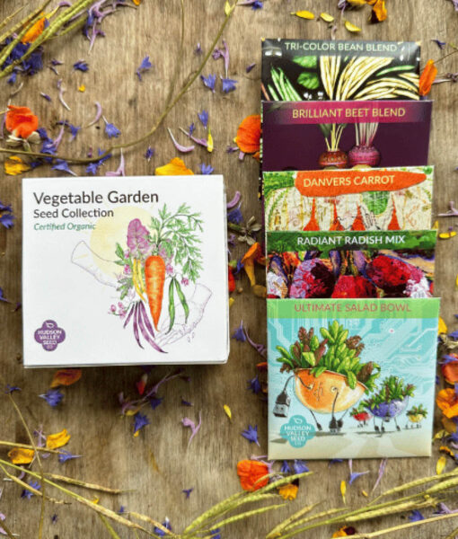 Vegetable Garden Seed Collection Gift Box (Direct Ship)