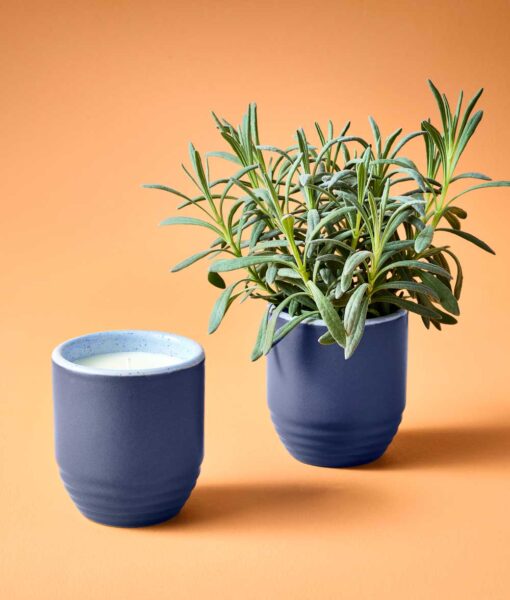 Garden Vibes 2-in-1 Candle/Planter (Direct Ship)
